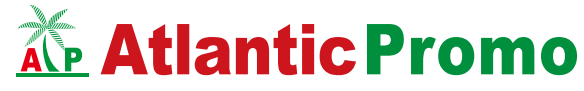 logo1
